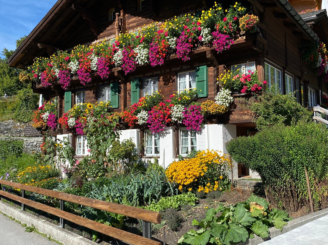 Alpinehikers-米伦必去景点