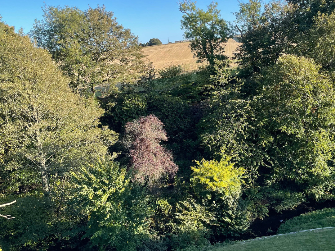 Stravithie Castle主图