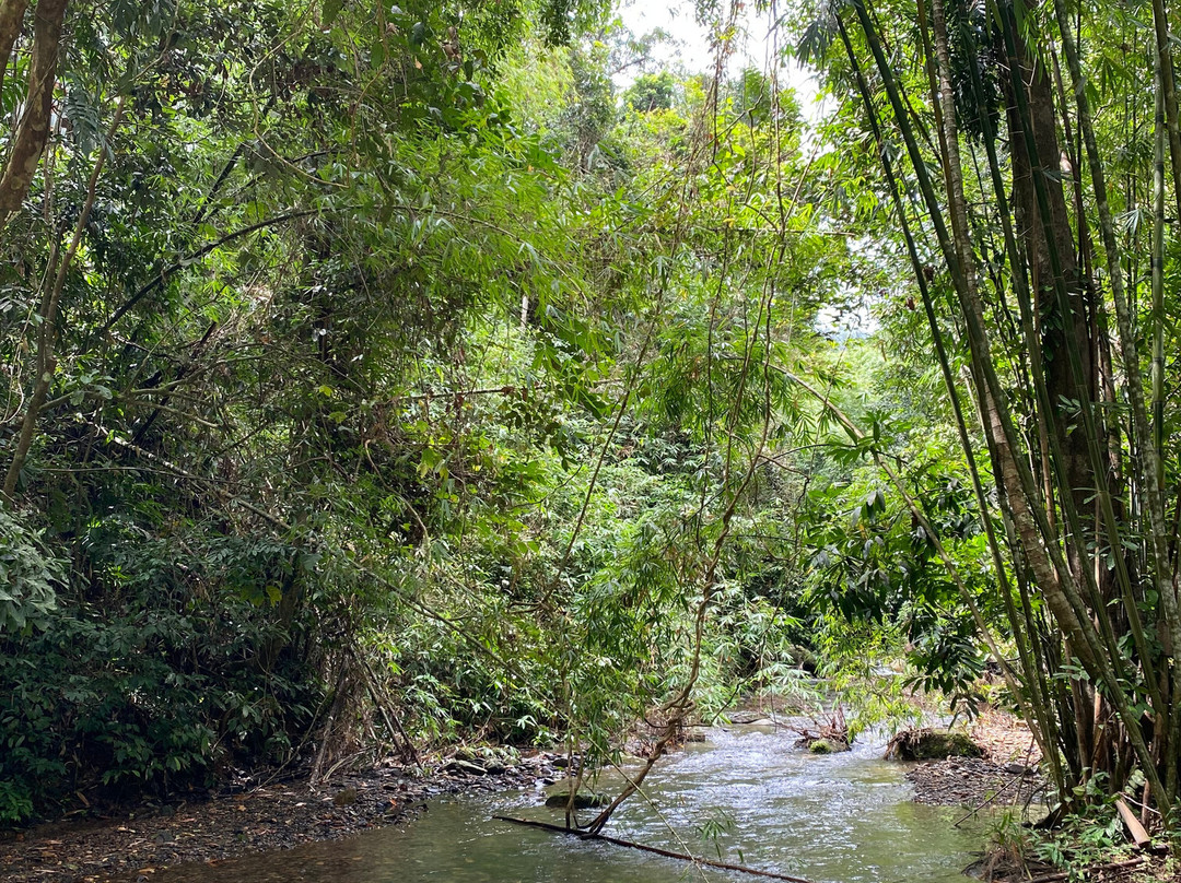 Si Phang Nga National Park-攀牙必去景点