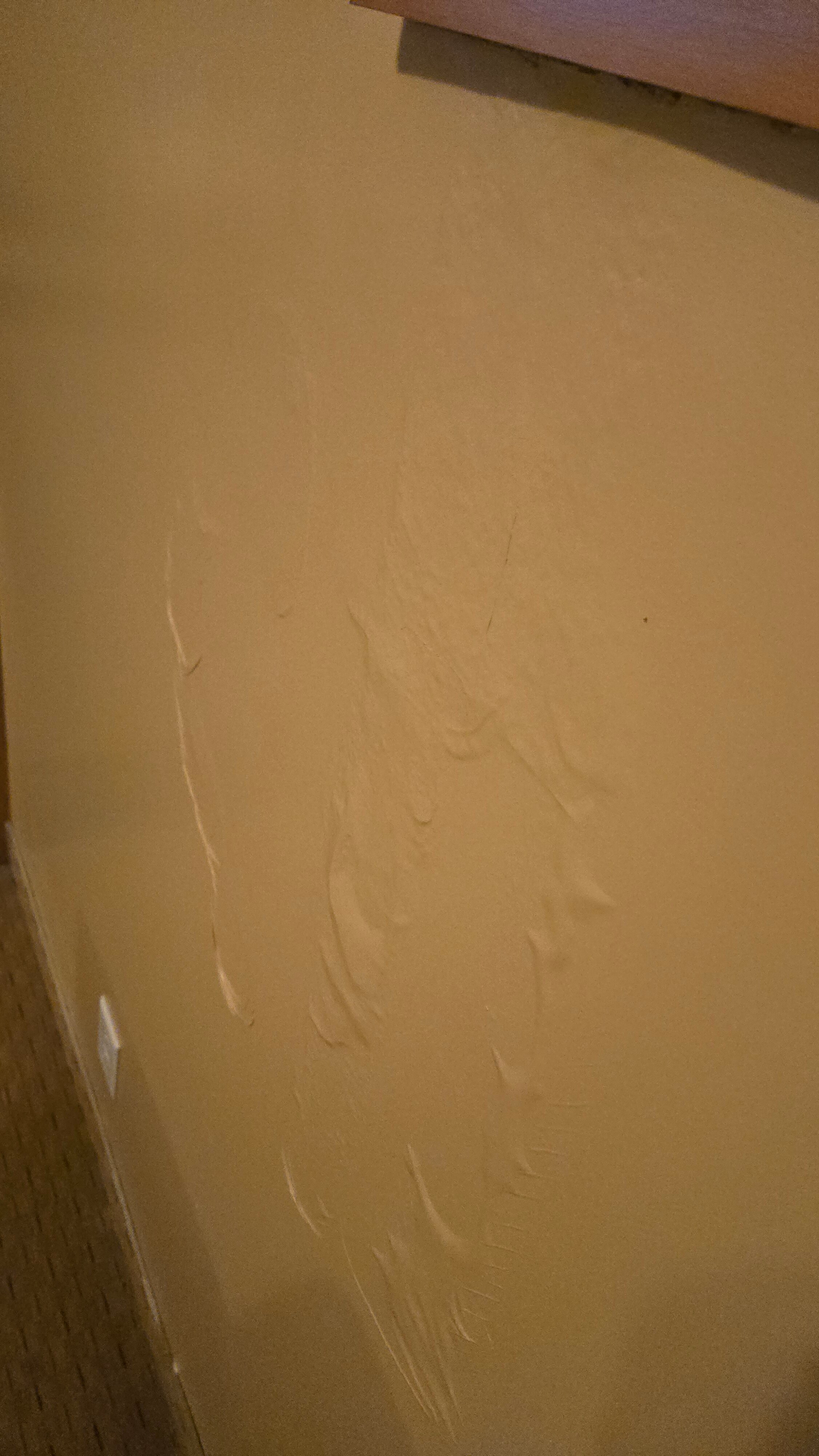 Murray Premises Hotel-官方