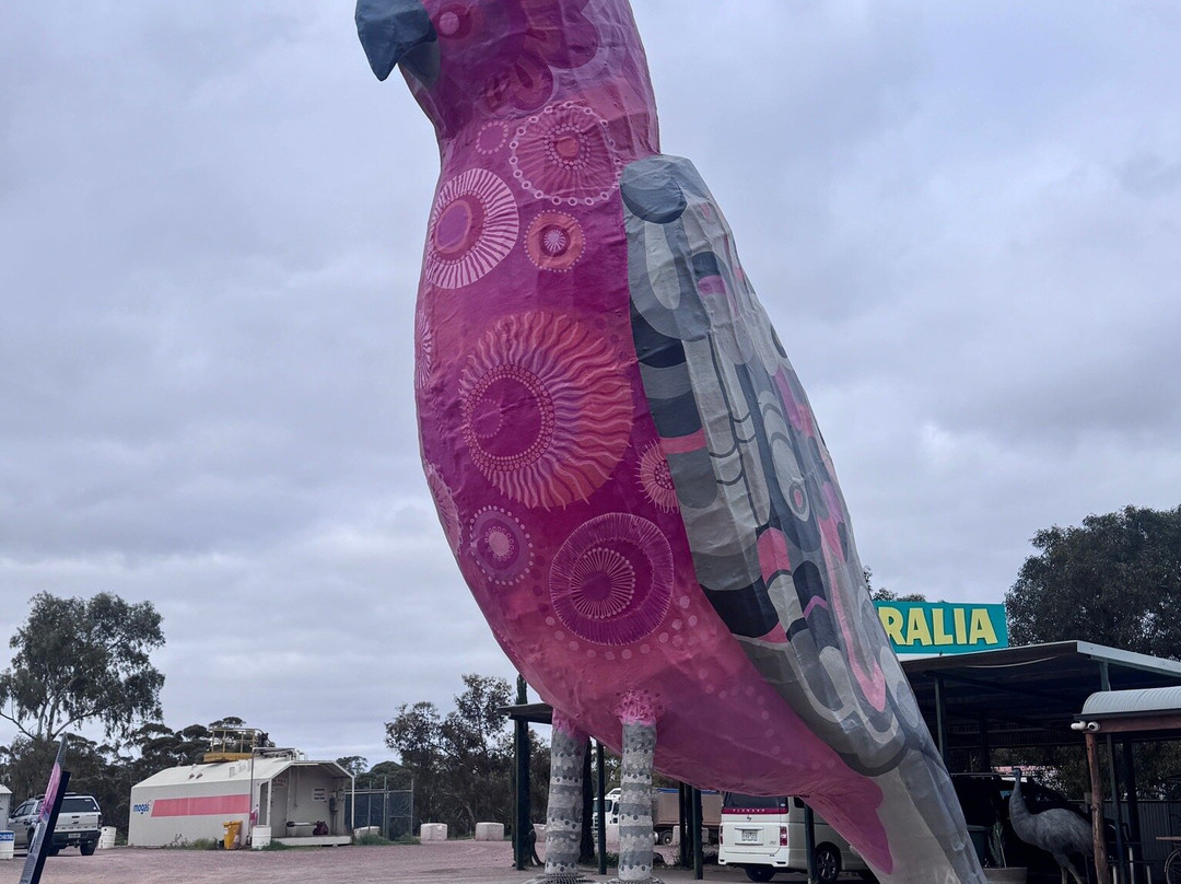 The Big Galah-Kimba必去景点