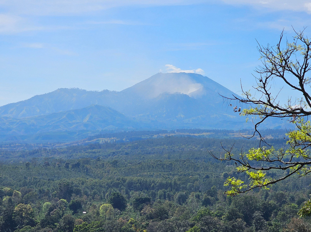 Surya Bromo Tour Travel-庞越必去景点