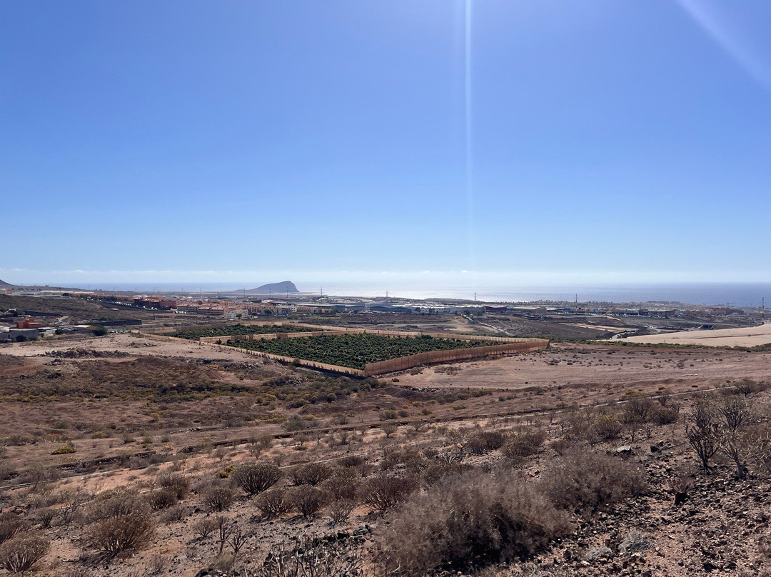 Horse Riding Adventures In Tenerife-圣米格尔德亚沃纳必去景点