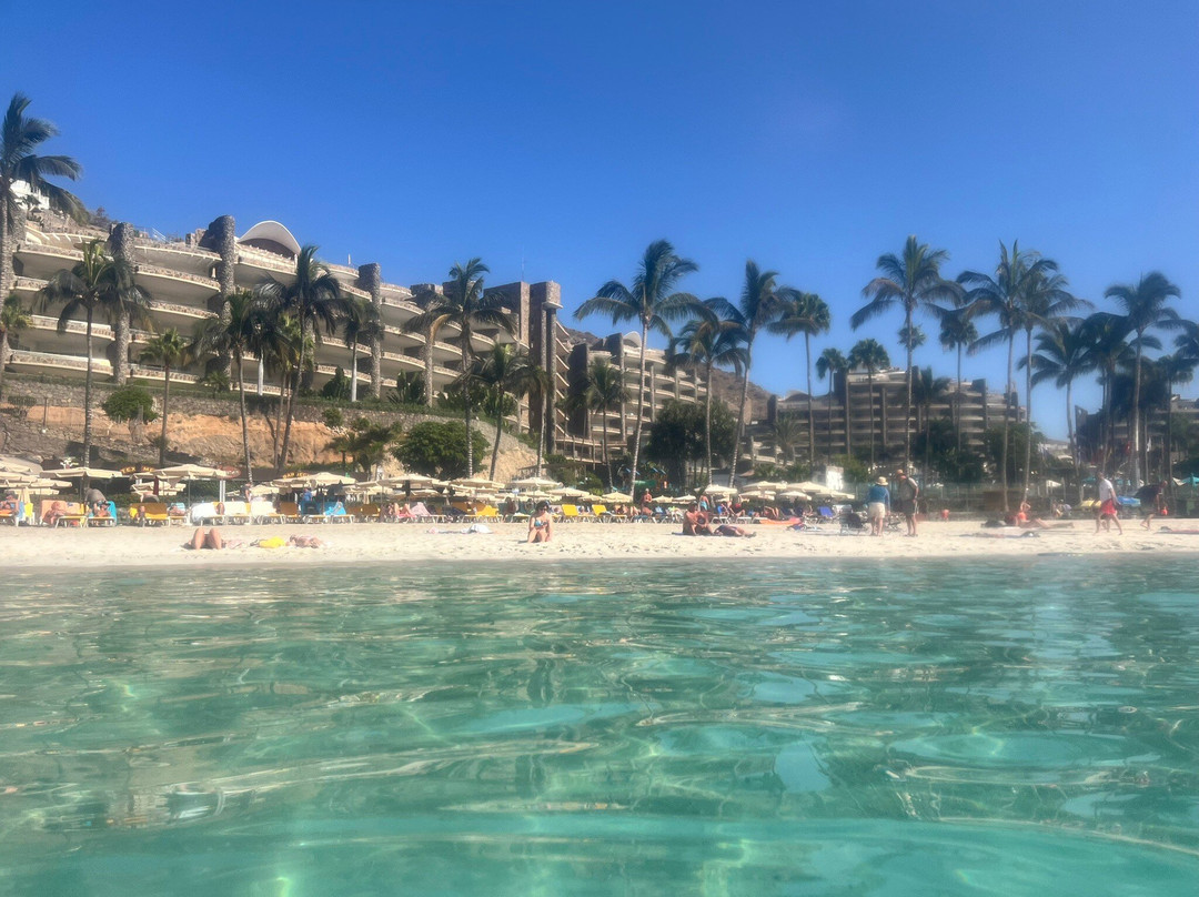 Anfi Playa-莫干山必去景点