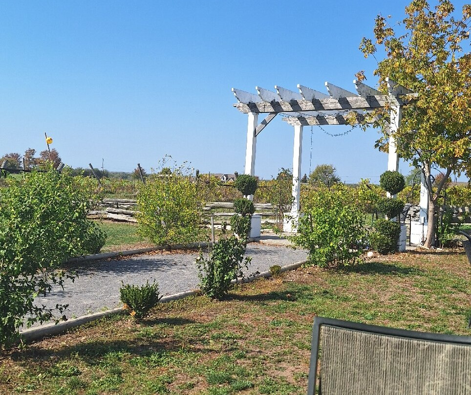 TerraCello Winery-Bloomfield必去景点