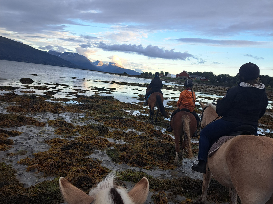 Tromsø Turhest As-Kvaloya必去景点