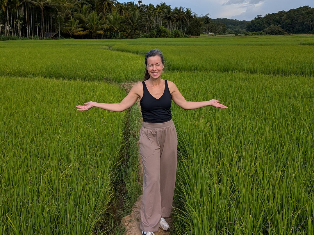 Crystal Kuruva Nature Resort & Spa主图