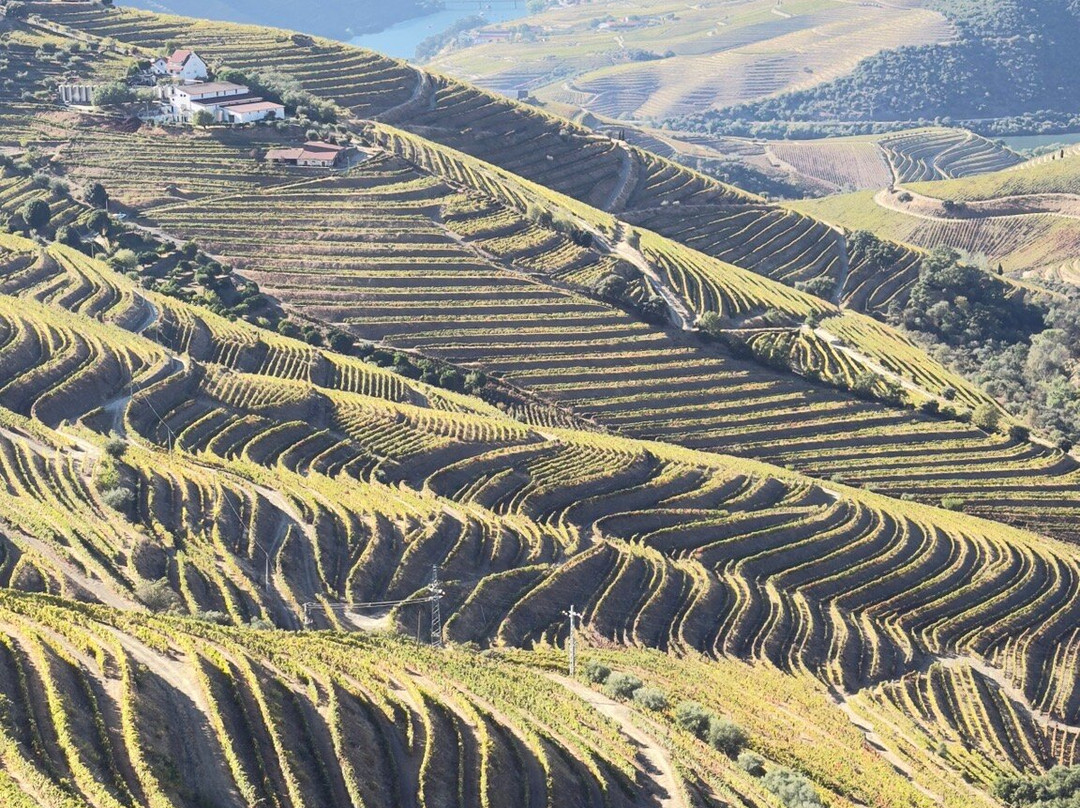 Quevedo-Sao Joao da Pesqueira必去景点