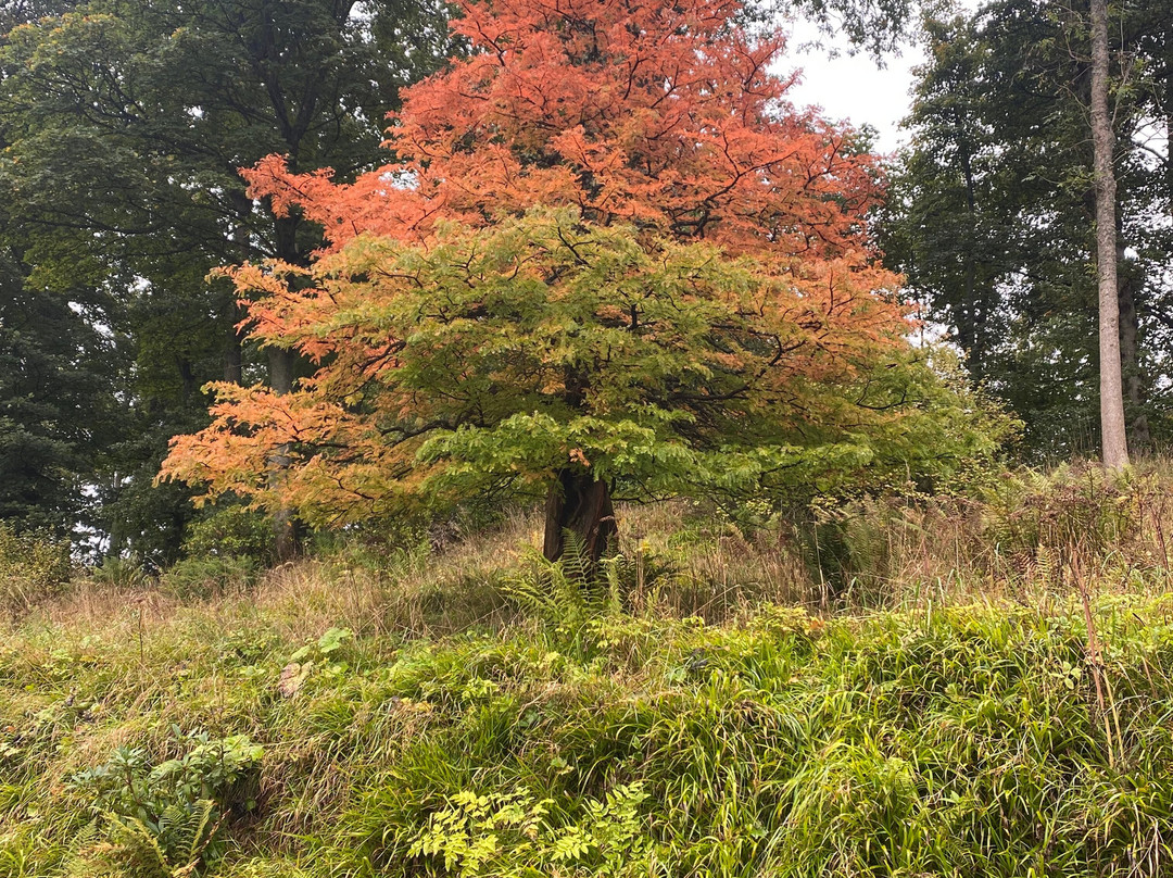 Hulne Park-阿尼克必去景点