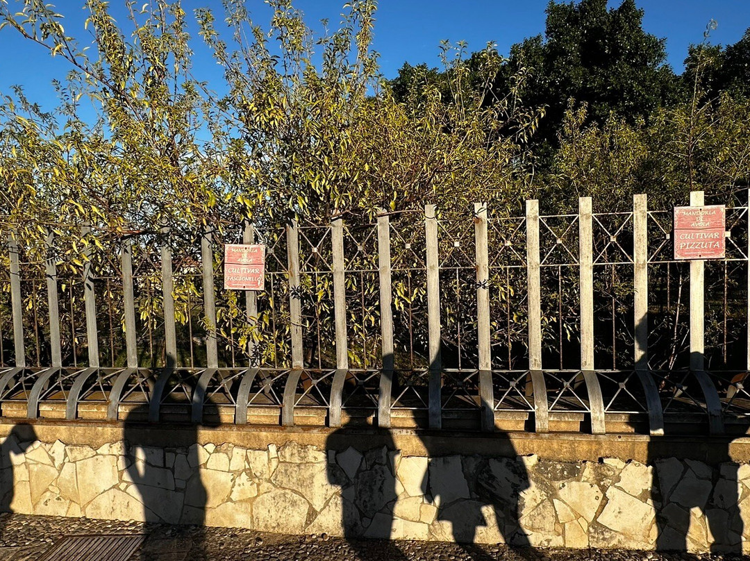 Museo della Mandorla di Avola-Avola必去景点