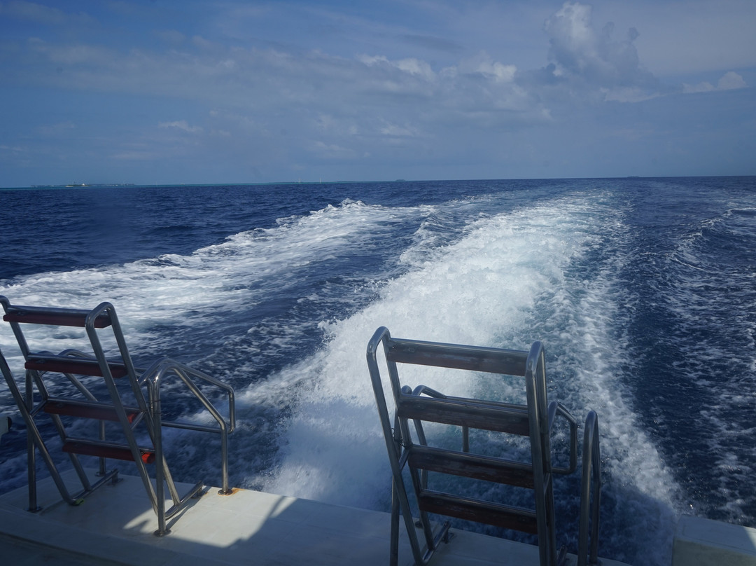 ScubaCaribe-达哈阿鲁环礁必去景点