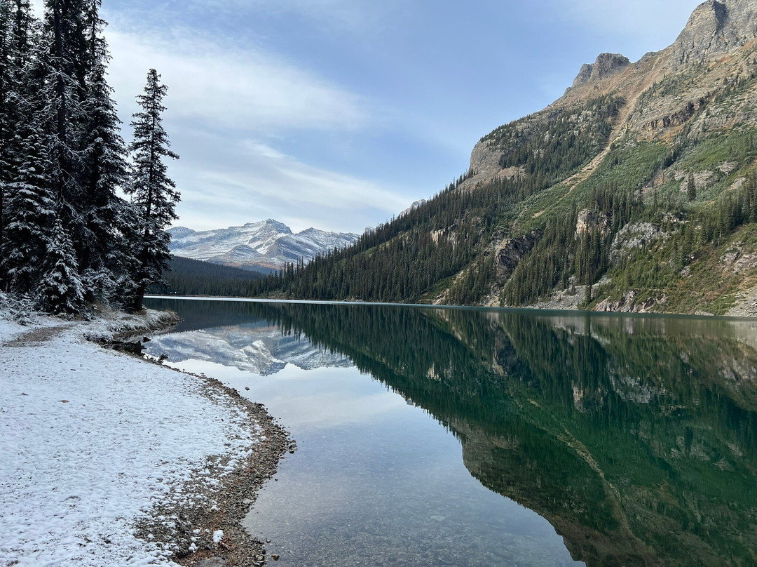 Forest Fix-班夫必去景点