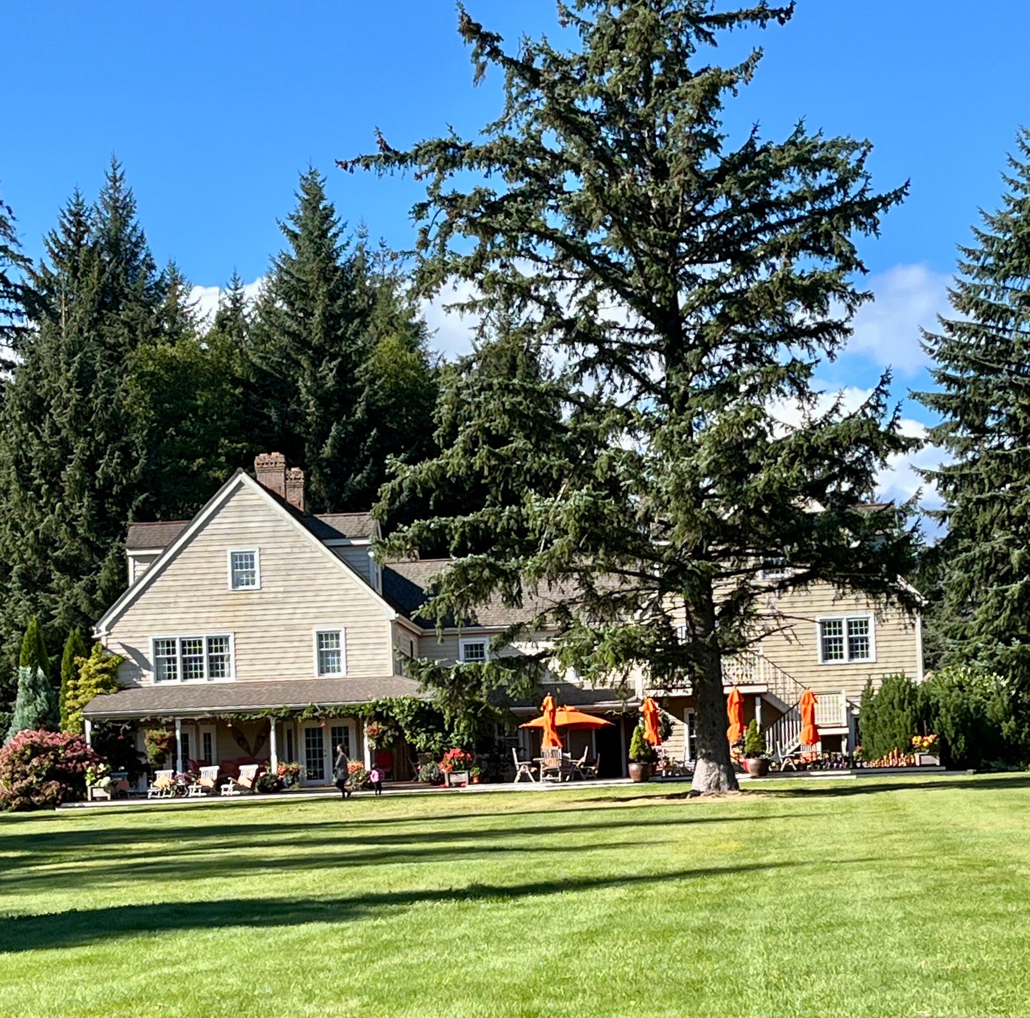 Minette Bay Lodge-官方