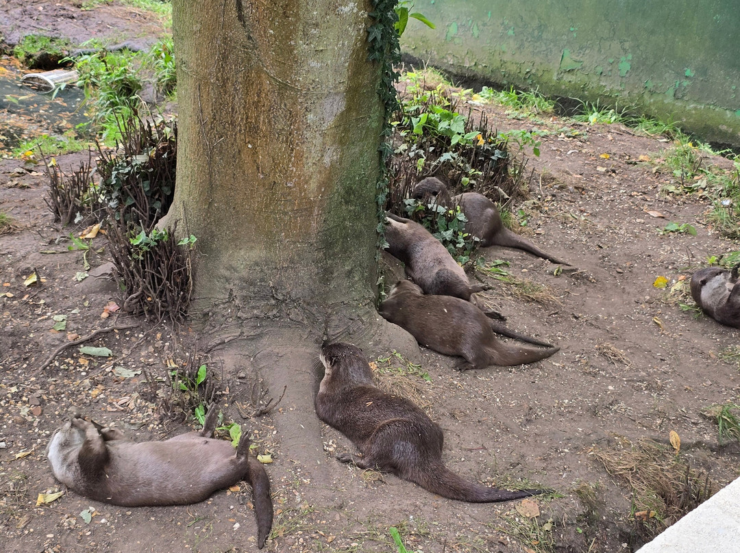 Shepreth Wildlife Park-Shepreth必去景点