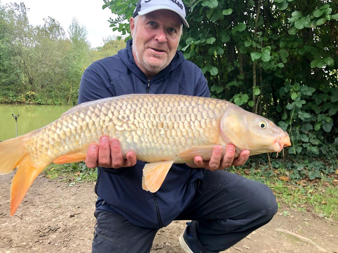 Whitemoor Lakes