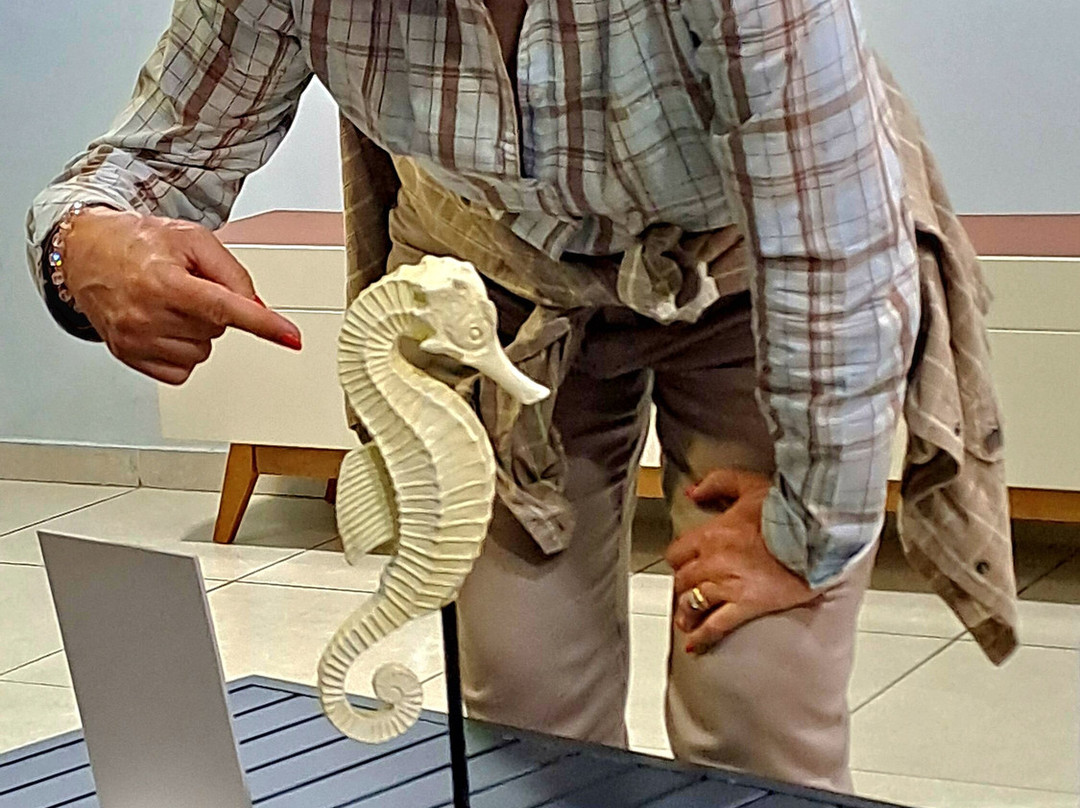 Grand Hotel Lobo de Mar主图