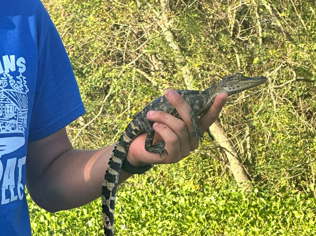 New Orleans Airboat Tours-Marrero必去景点