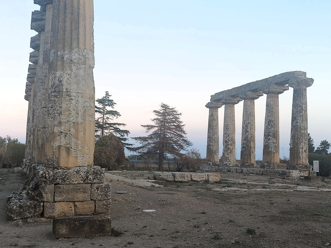 Tavole Palatine - Tempio di Hera-Bernalda必去景点
