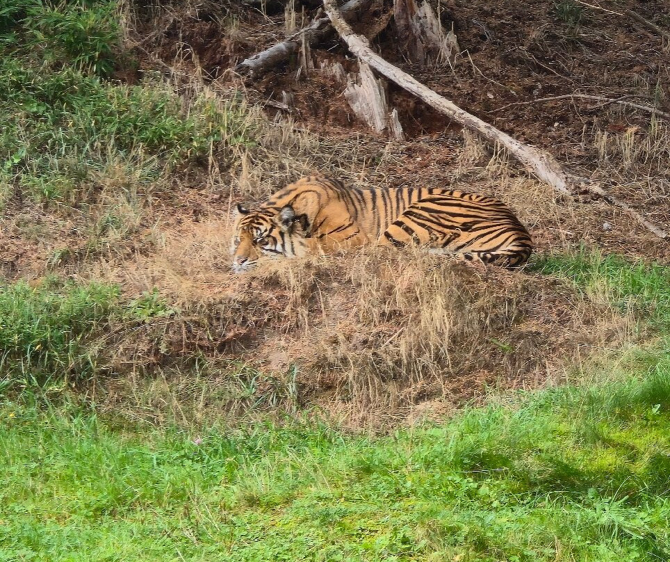 Point Defiance Zoo & Aquarium-塔科马必去景点