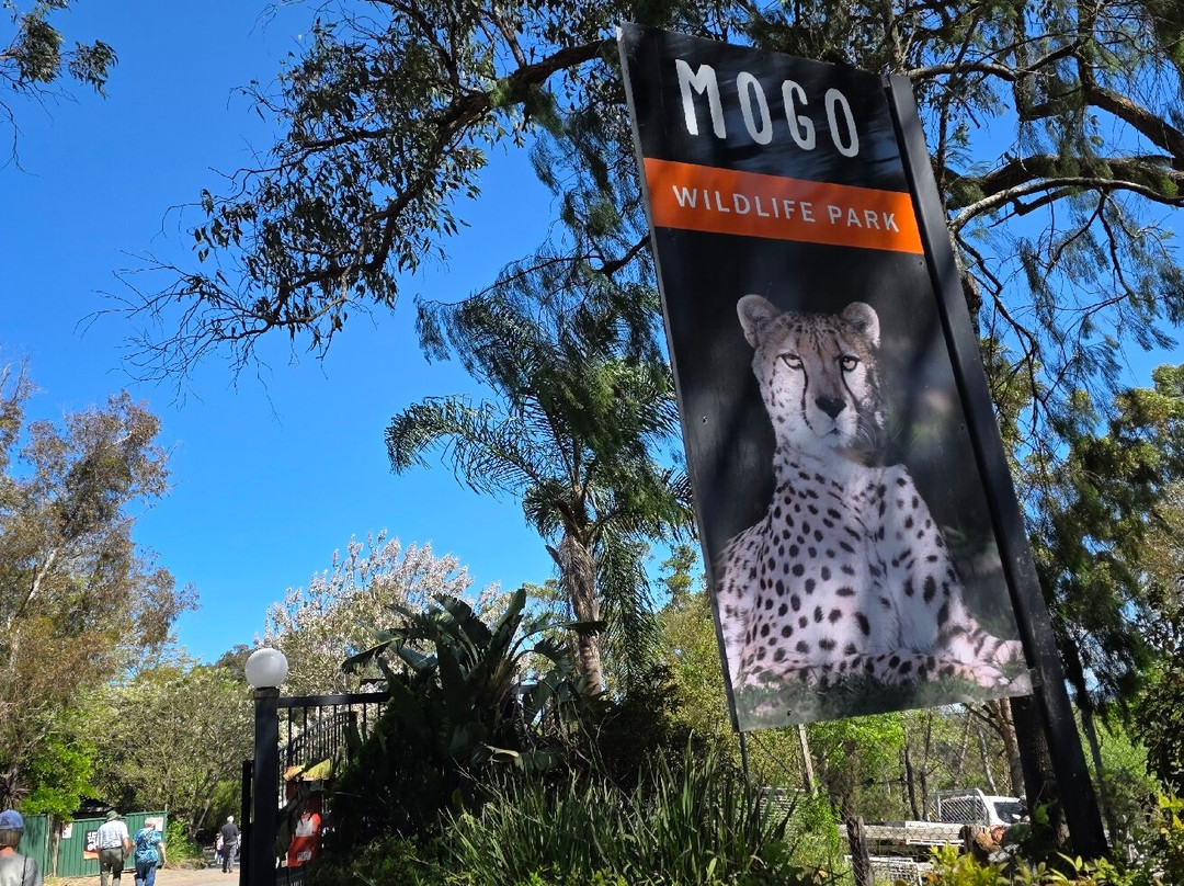Mogo Wildlife Park-Mogo必去景点