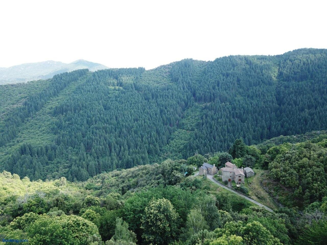 Domaine De La Maziere