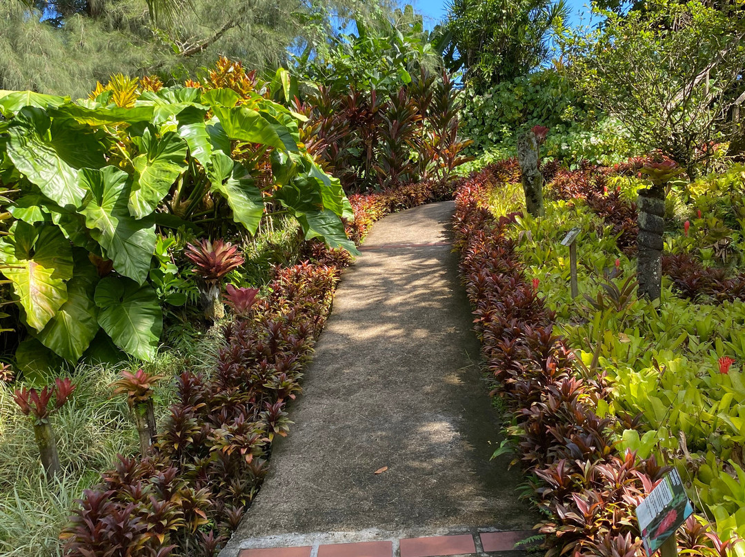 Jardin Botanique de Valombreuse-Petit-Bourg必去景点