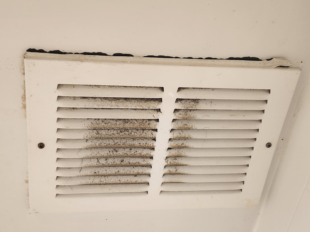 Best Western Bridgeview Hotel主图