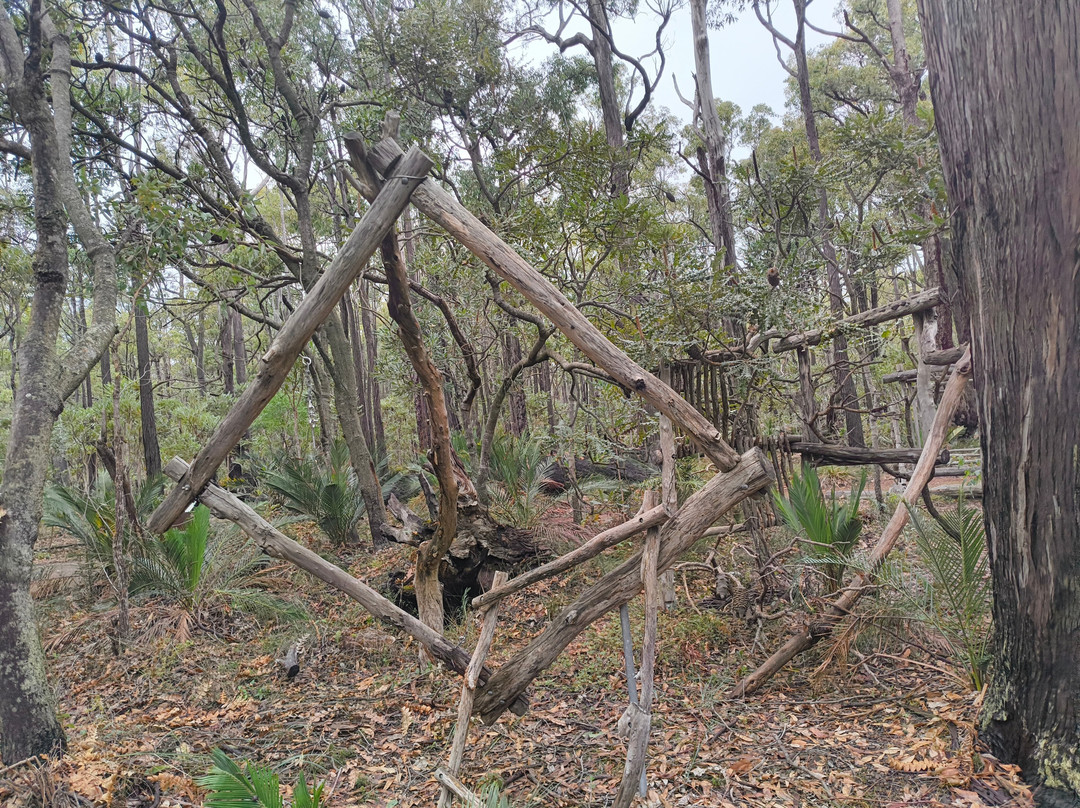 Forest Discovery Centre-Dwellingup必去景点