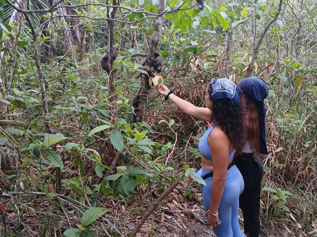 Anderson Tour Guide RJ-里约热内卢必去景点