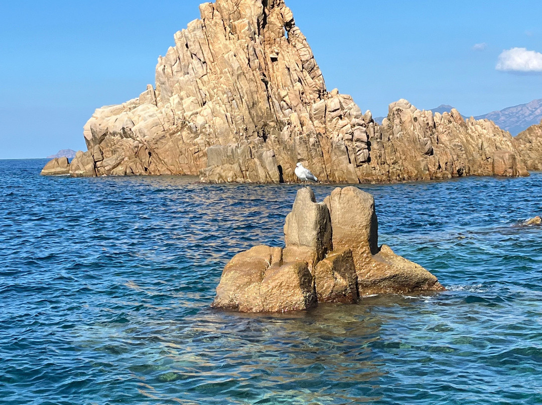 Cargèse Croisières-Cargese必去景点