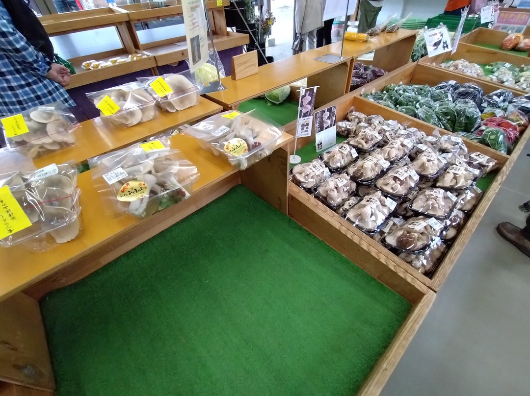 Michi-no-Eki Shimogo-下乡町必去景点