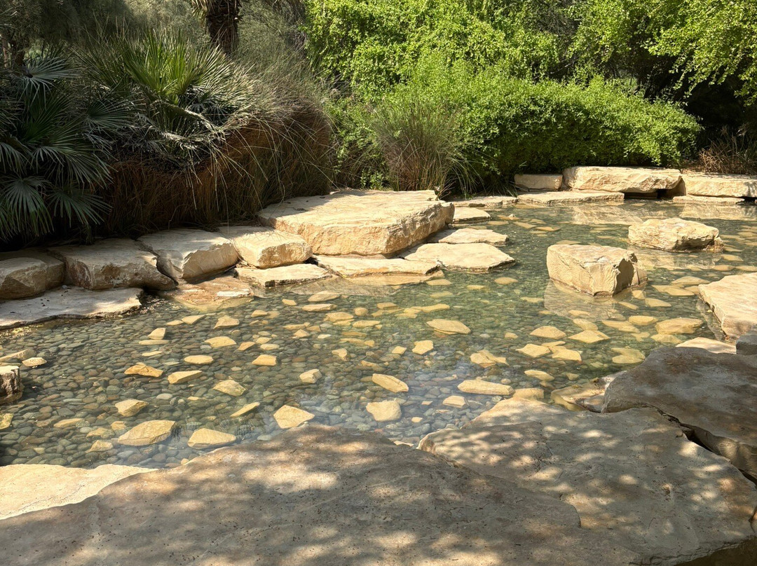 穆什里夫中央公园-阿布扎比必去景点