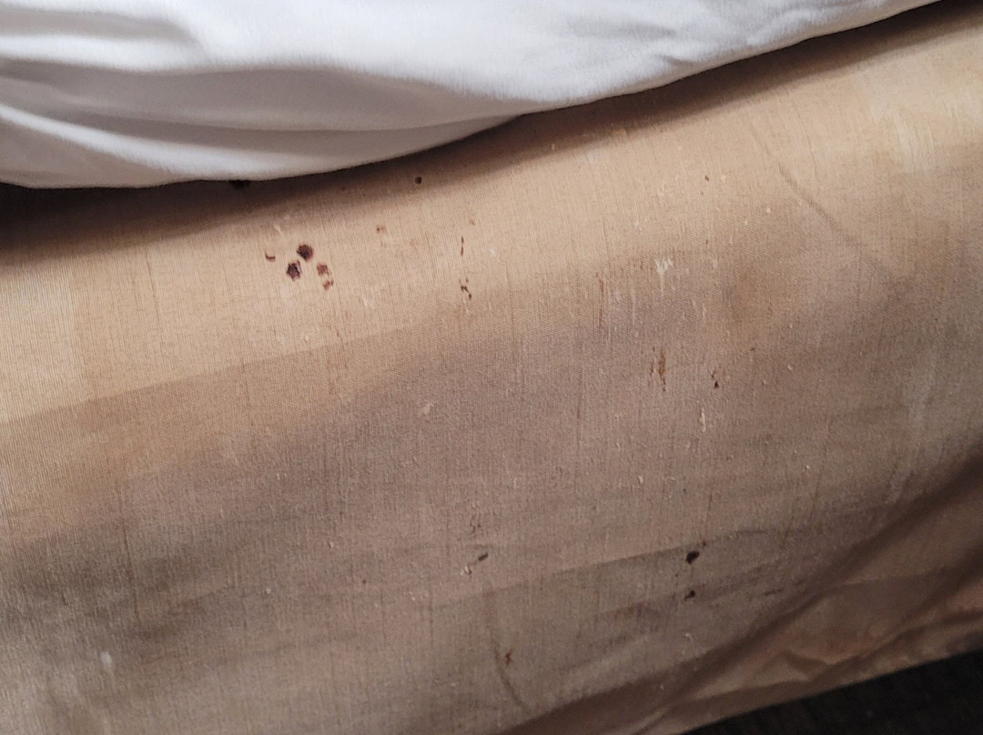 Comfort Inn & Suites主图