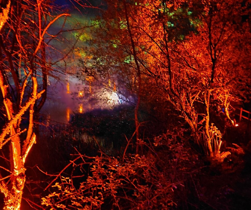 The Enchanted Forest-皮特洛赫里必去景点