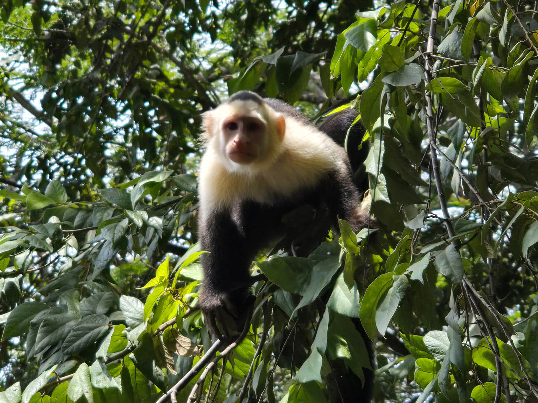 Royal Service Tours-利比里亚必去景点