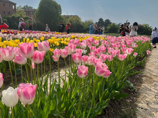 Tulipark-博洛尼亚必去景点