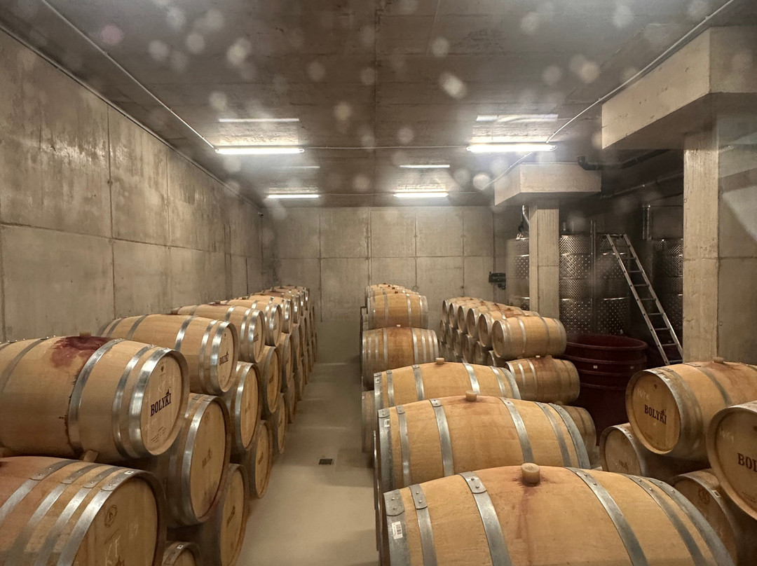 Bolyki Winery and Vineyard-埃格尔必去景点