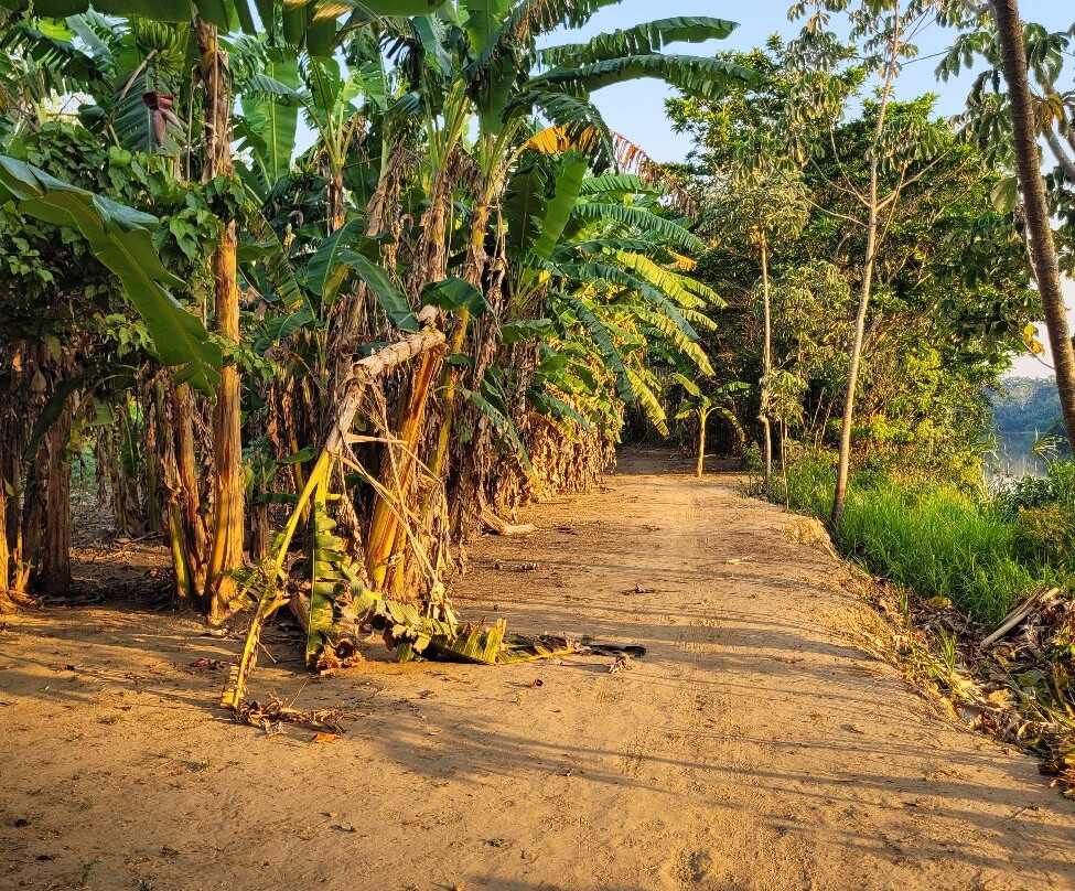 CHUCHINI Amazon Wildlife Reserve & Eco Lodge-Trinidad必去景点