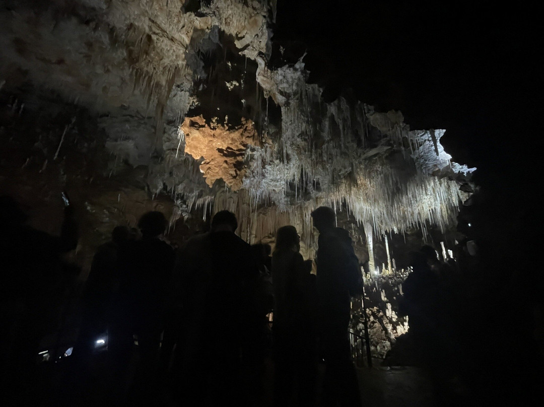 Grotte de Clamouse-Saint-Jean-de-Fos必去景点