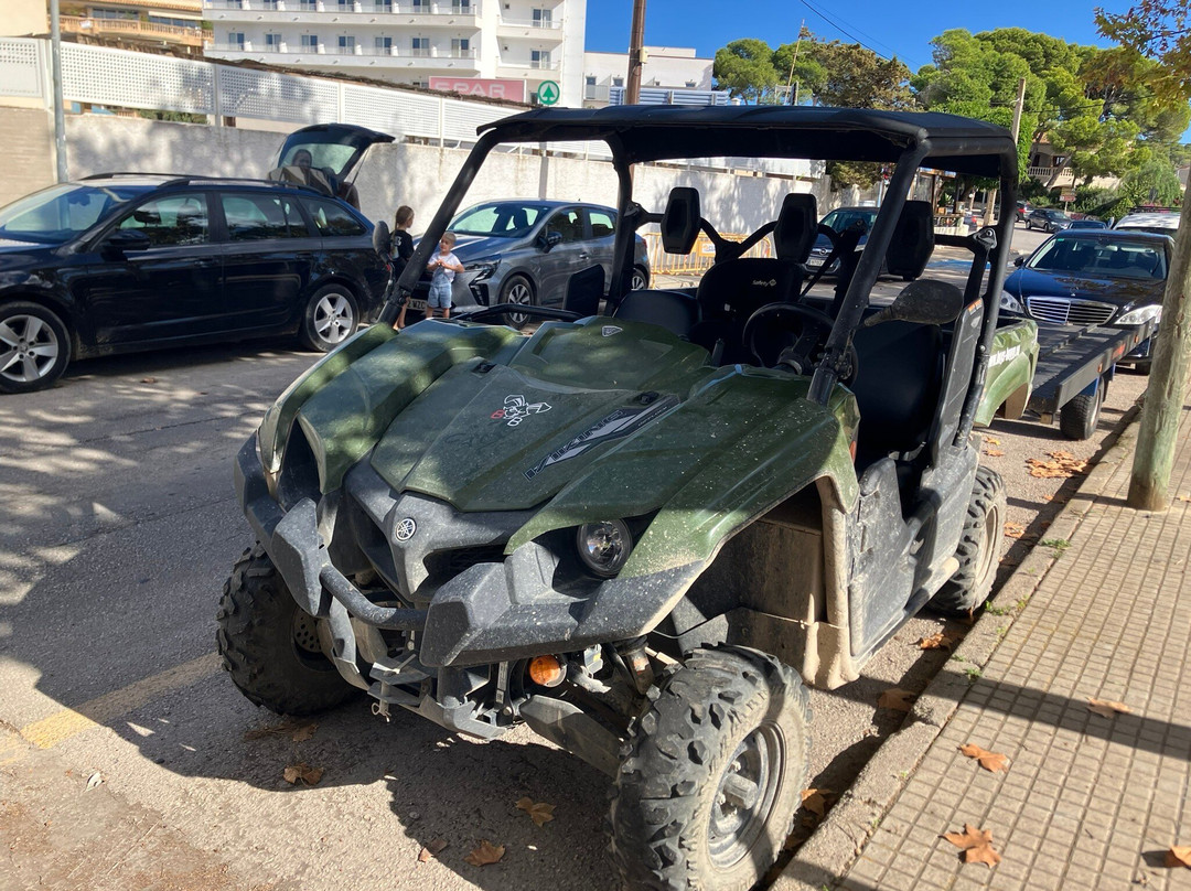 Bugs Buggy Mallorca Adventure-Cala Ratjada必去景点