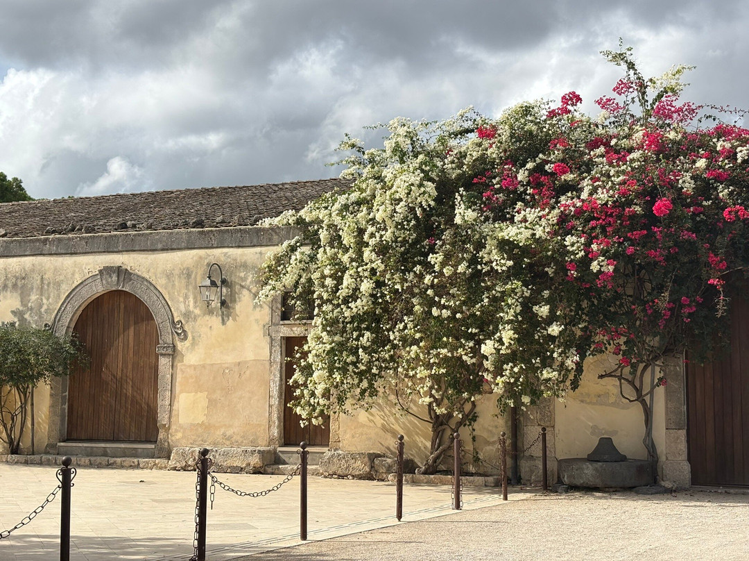 Azienda Agricola Pupillo-锡拉库扎必去景点