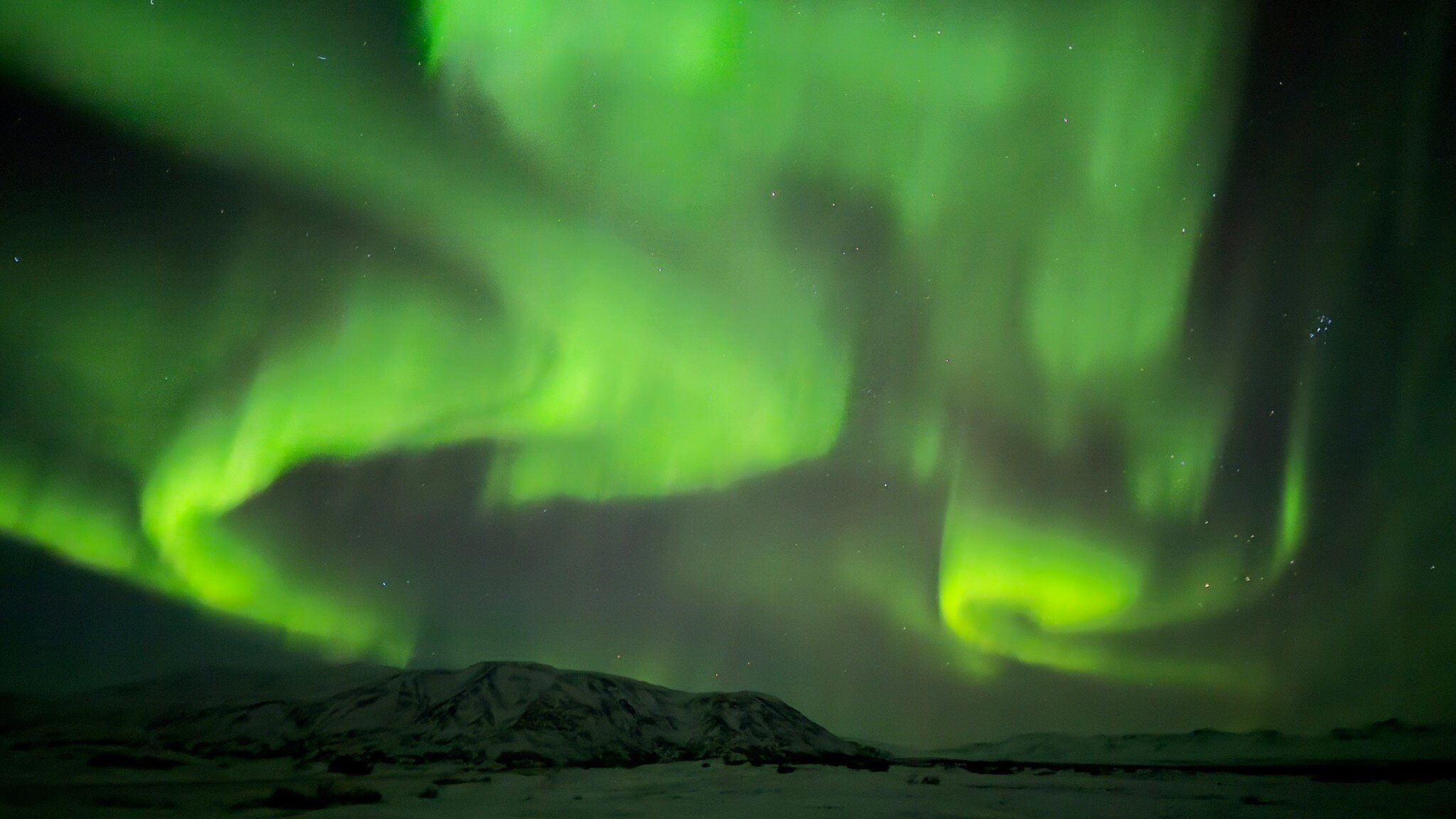 凯亚雷克雅未克灯光酒店-官方