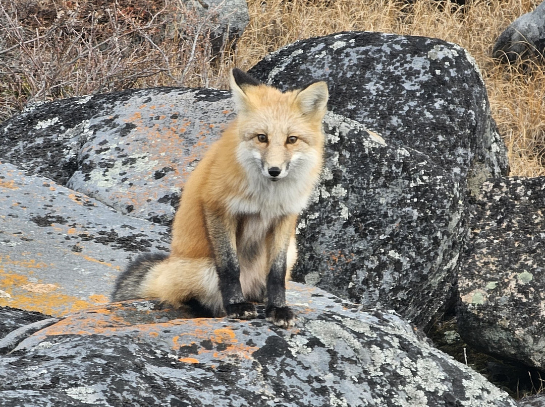 Heartland International Travel & Tours-温尼伯必去景点