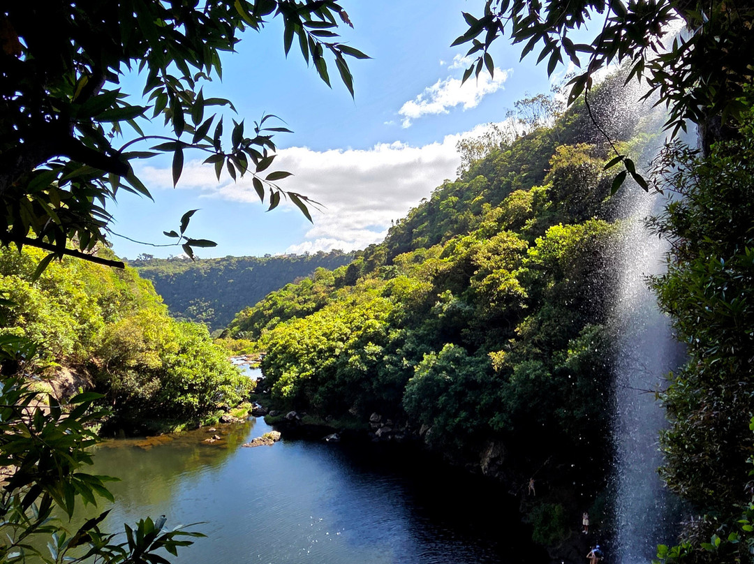 Thomson Adventures-Vacoas-Phoenix必去景点