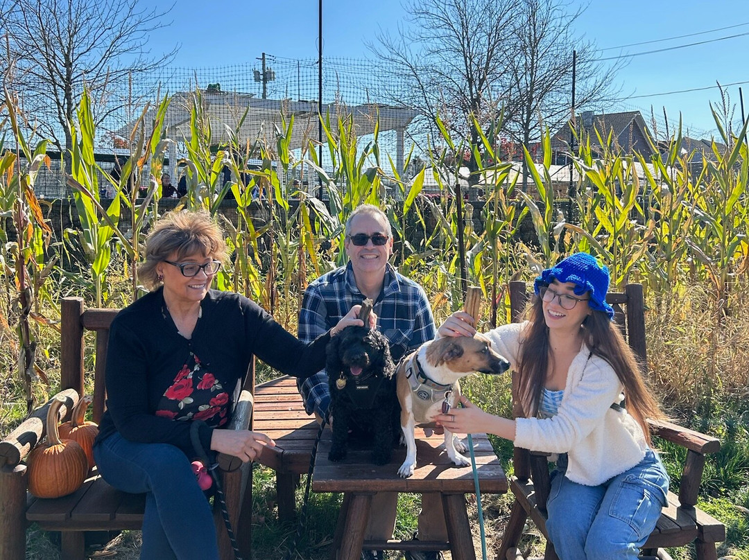 Secor Farms-莫沃必去景点