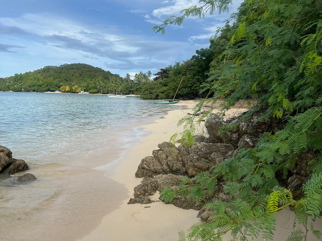 Big Dream Boatman-科隆必去景点