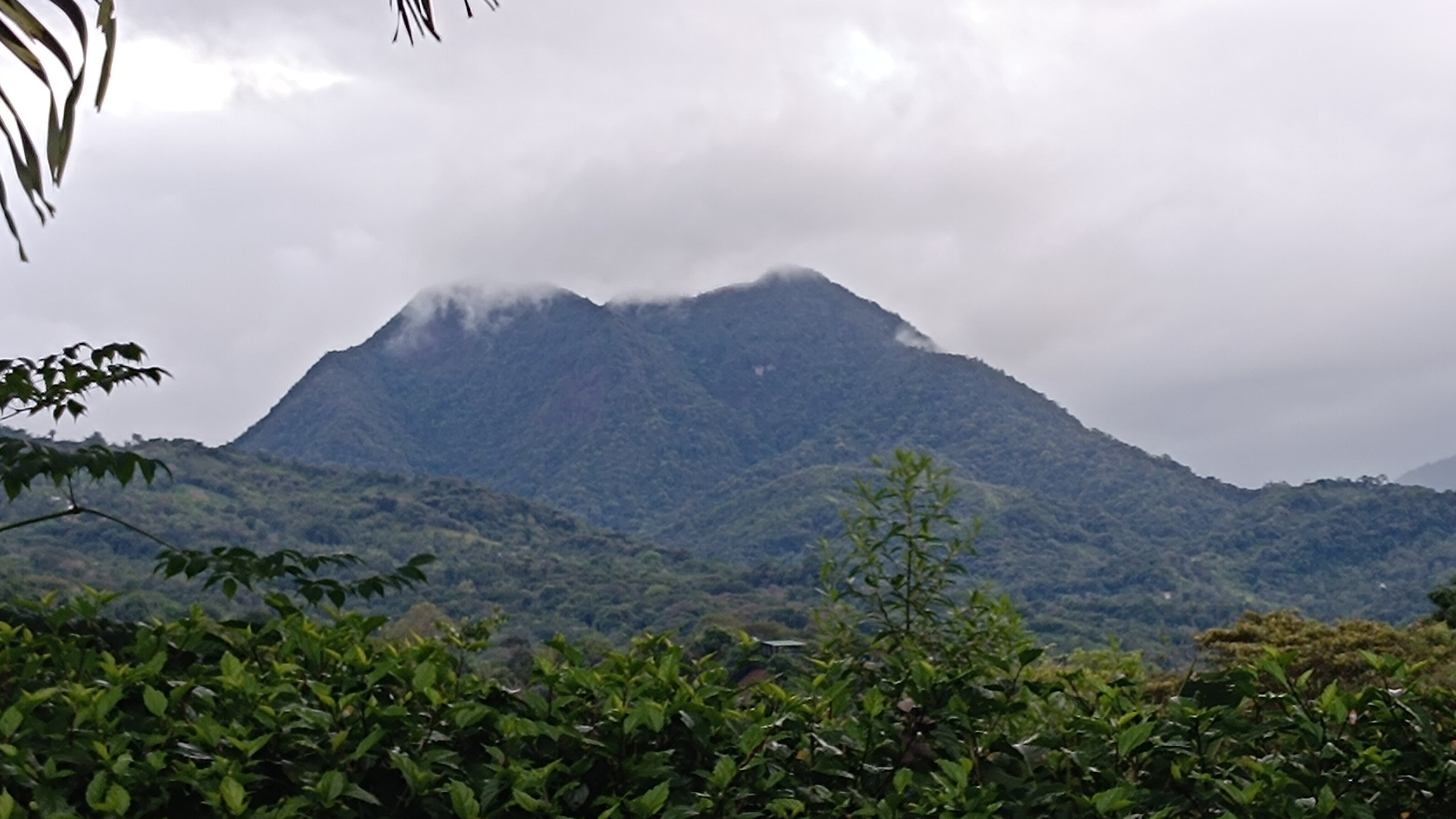 Coffee Mountain Inn-官方