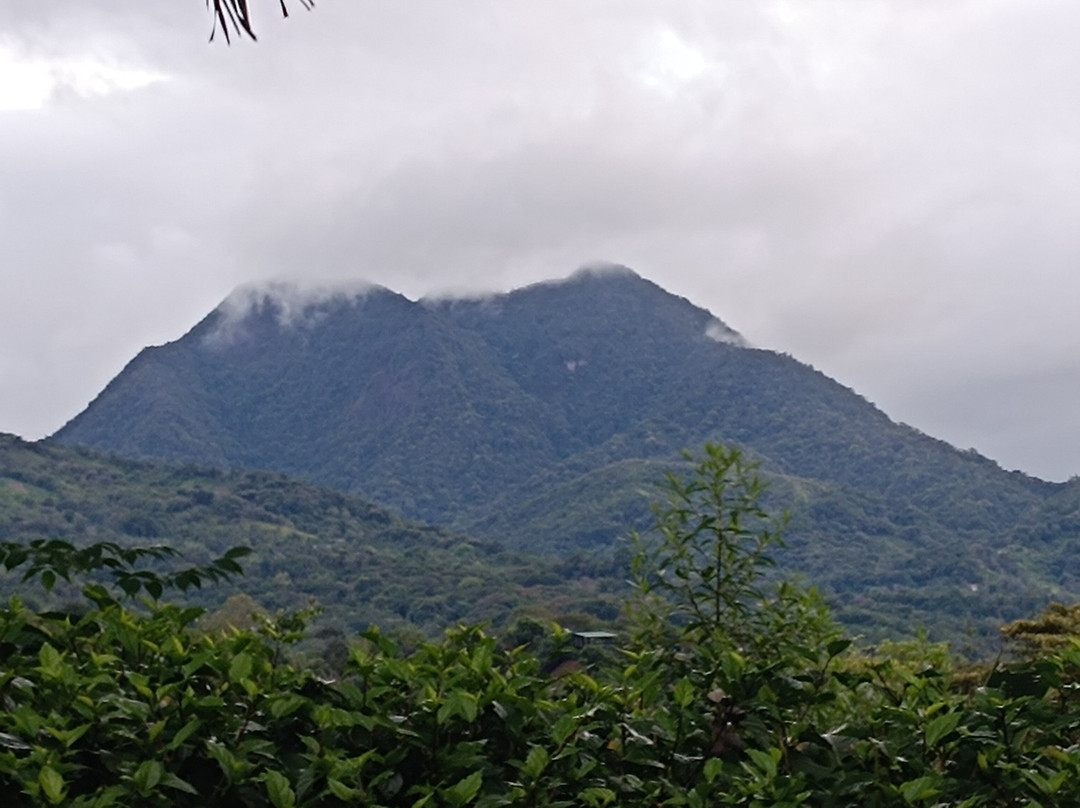 Coffee Mountain Inn主图