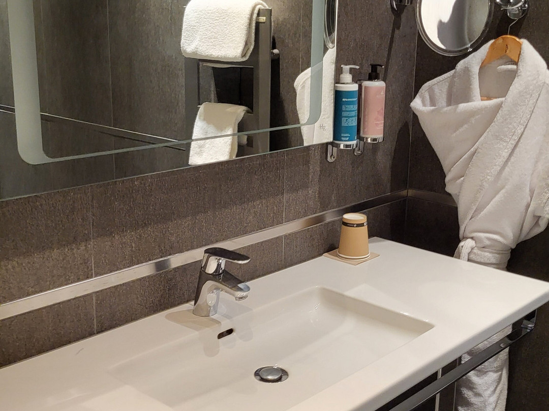 法兰西酒店主图