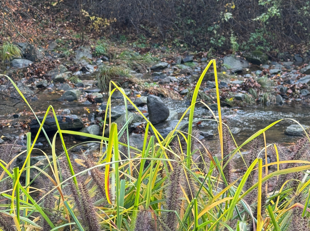 Brandywine Creek State Park-威尔明顿必去景点